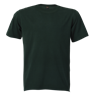 170g Barron Combed Cotton Crew Neck T-Shirt, TST170B