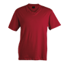 180g Barron V-Neck T-Shirt, TSV180B