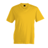 180g Barron V-Neck T-Shirt, TSV180B