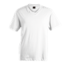 180g Barron V-Neck T-Shirt, TSV180B