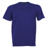 160g Barron Crew Neck Unisex T-Shirt, TST160B