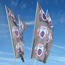 4 Pole Cluster Flags/Flag Fountain