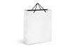 Altitude Dazzle Maxi Paper Gift Bag, GIFTBAG-1010