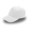 Value 5 Panel Fade Resistant Cap, V5038