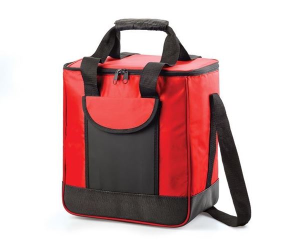 GTS Picnic Cooler Bag, WIC00