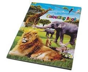 Wildlife Stickers & Colouring Book, ST322