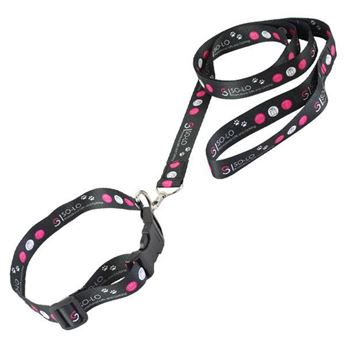 Tucker Dog Leash + Collar With Full Colour 2 Sided, LAN701B