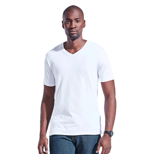 Mens 170g Slim Fit V-Neck T-Shirt, 170SFV