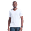 Mens 170g Slim Fit V-Neck T-Shirt, 170SFV