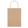 Large Paper Bag, GIFT8809