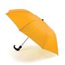 8 Panel Pop Up Umbrella, FAMU