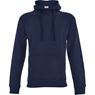 Mens Essential Hooded Sweater, ALT-EHD