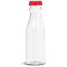 Lets Twist Water Bottle - 650ml, DR-AM-182-B