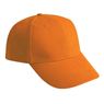 Polyester 6 Panel Cap, CAP1007