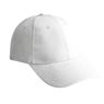 Polyester 6 Panel Cap, CAP1007