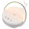 Swiss Cougar Anchorage Multifunction Night Light, MT-SC-392-B