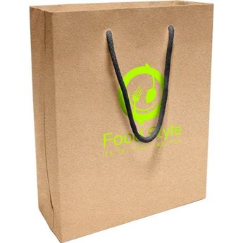 Arya Eco Gift Bag with 1 col, PAP085