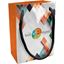 Ariel Gloss Gift Bag With FC On 1 Side, PAP101