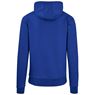 Mens Omega Hooded Sweater, BAS-7786