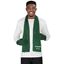 Team Acrylic Scarf, BAS-8024