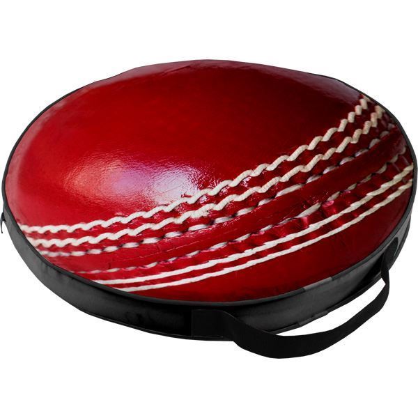 Cricket Stadium Cushion With FC Print, SPORT073