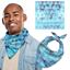 Bandana 680 X 680 With Full Col, PIC203B