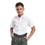 Unisex Short Sleeve School Shirt, SCH-SSHI