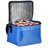 Altitude Buddy 6-Can Cooler, IDEA-0020