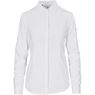 Ladies Long Sleeve Alex Varga Sorrento Shirt, CW-AV-187-A