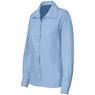 Ladies Long Sleeve Aspen Shirt, BAS-4764