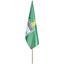 Champion Large Hand Flag 900mm X 600mm, DISPLAY-1020