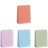 Altitude Vogue Midi Paper Gift Bag, BG-AL-476-B