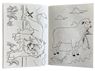 Wildlife Stickers & Colouring Book, ST322