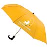 8 Panel Pop Up Umbrella, FAMU