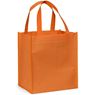Gala Grocery Shopper, BAG-4330