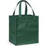Gala Grocery Shopper, BAG-4330
