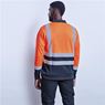 Long Sleeve Surveyor Two-Tone Hi-Viz Golf Shirt, GS-AL-293-A