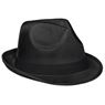 Jackson Fedora Hat, HS-AL-74-C