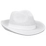 Bruno Fedora Hat, HS-UB-73-C