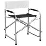 Coated Steel Directors Chair, VI-AM-246-D