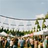 Sublimated Single-Sided Polyester Triangle Bunting 10m, FL-AM-26-D