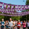 Sublimated Single-Sided Polyester Rectangle Bunting - 10m, FL-AM-25-D