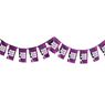 Sublimated Single-Sided Polyester Rectangle Bunting - 10m, FL-AM-25-D
