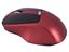 New Generation Wireless Mouse, P2443