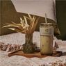 Serendipio Mayfair Plastic Tumbler & Straw – 650ml, DR-SD-304-B
