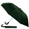 8 Panel Pop Up Umbrella, FAMU