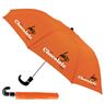 8 Panel Pop Up Umbrella, FAMU
