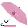 8 Panel Pop Up Umbrella, FAMU