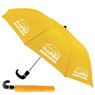 8 Panel Pop Up Umbrella, FAMU