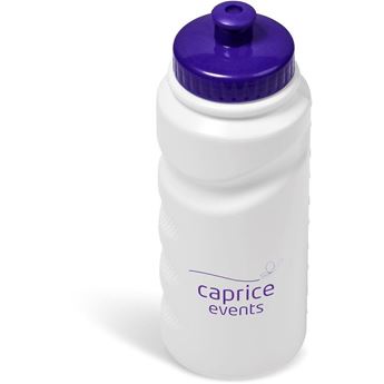 Annex Plastic Water Bottle - 500ml - Purple, DR-AM-193-B-P
